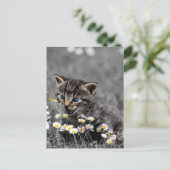 Schattigee Schattige kat kitten Briefkaart (Staand voorkant)