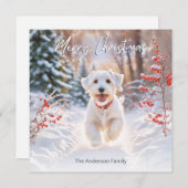 Schattigee Sealyham Terriër Hond In Sneeuw Vrolijk Feestdagenkaart (Voorkant / Achterkant)