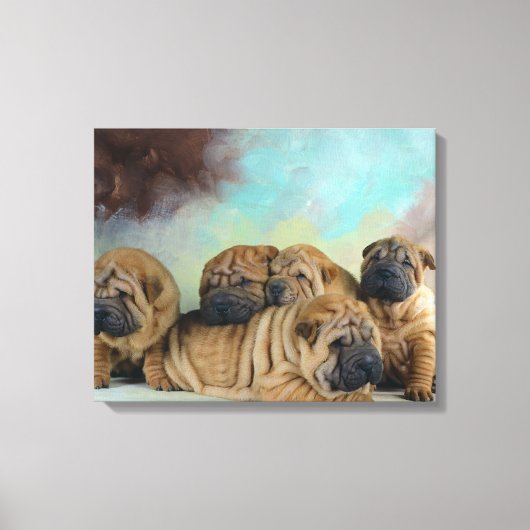 Schattigee Shar pei puppies Canvas Afdruk (Voorkant)