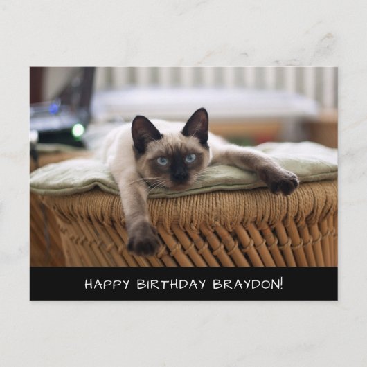 Schattigee Siamese Cat Birthday Briefkaart (Voorkant)