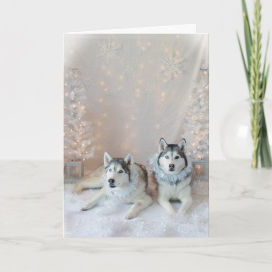 Schattigee Siberische Huskies kerst Kaart (Voorkant)