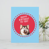 Schattigee Siberische Husky Happy Birthday blauw r Briefhoofd (Staand voorkant)