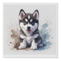 Schattigee Siberische Husky puppy, waterverf op