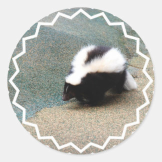 Schattigee Skunk Sticker