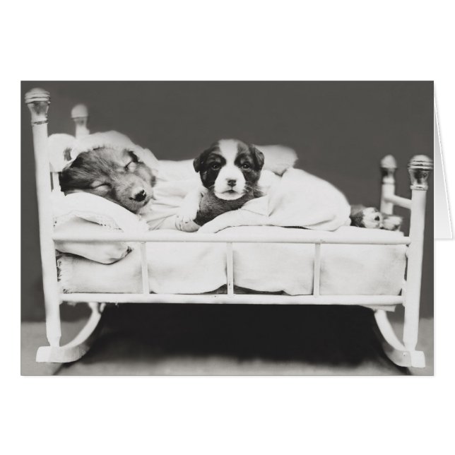 Schattigee  Slaaphond en Puppy Kaart (Voorkant Horizontaal)
