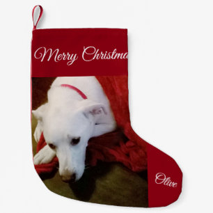Schattigee Snowy White Lab Mix Hond Kerstkous Kleine Kerstsok