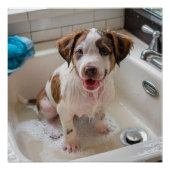 Schattigee Soapy Wet Puppy Bath Poster Wall Art Perfect Poster (Voorkant)