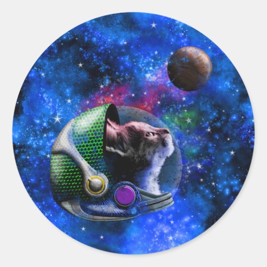 Schattigee Space Cat met Blauwe Galaxy Nebula Ster Ronde Sticker (Voorkant)