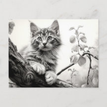 Schattigee speelkitten - Zwart-wit Tekenkunst