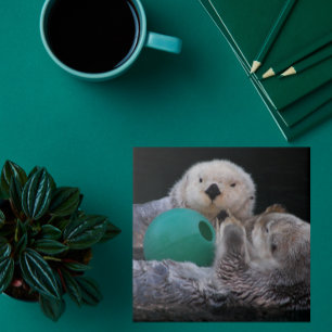 Schattigee speelse Zeeen otters Tegeltje