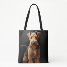 SCHATTIGEE TAN & BROWN WELSH TERRIER DOG