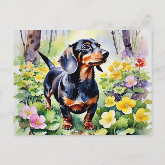 Schattigee Teckel Sausage Dog Spring Primrose Flow Briefkaart (Voorkant)
