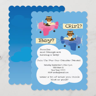 Schattigee teddybeer piloten vliegtuig Geslacht on Kaart