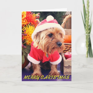 Schattigee Terrier Christmas Kaart