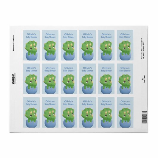Schattigee Triceratops Dinosaur Baby shower Label (Full Sheet)
