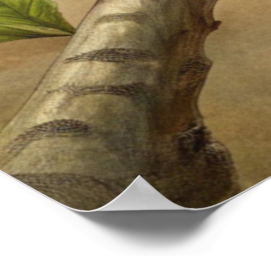 Schattigee turquoise vogel poster (Hoek)