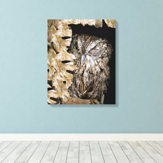 Schattigee Uil Wink Canvas Afdruk (Insitu (Houten vloer))