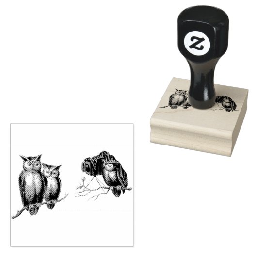 Schattigee uilen en camera op takken vogels 	rubberstempel (Gestempeld)