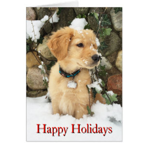 Schattigee Vakantie Puppy lab retriever
