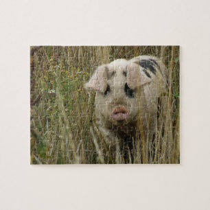 Schattigee varkenspuzzel legpuzzel