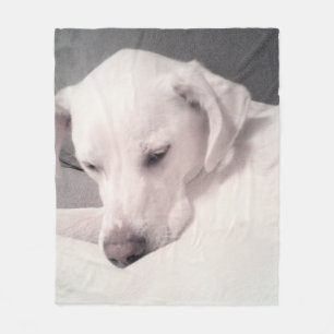 Schattigee vermoeide witte labrador mix hond grijs fleece deken