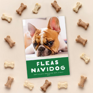 Schattigee vlooien Navidog Dog Pet Vakantie fotoka Feestdagenkaart