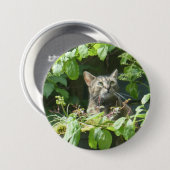 Schattigee vogelkijkkkat Button (Voorkant /achterkant)