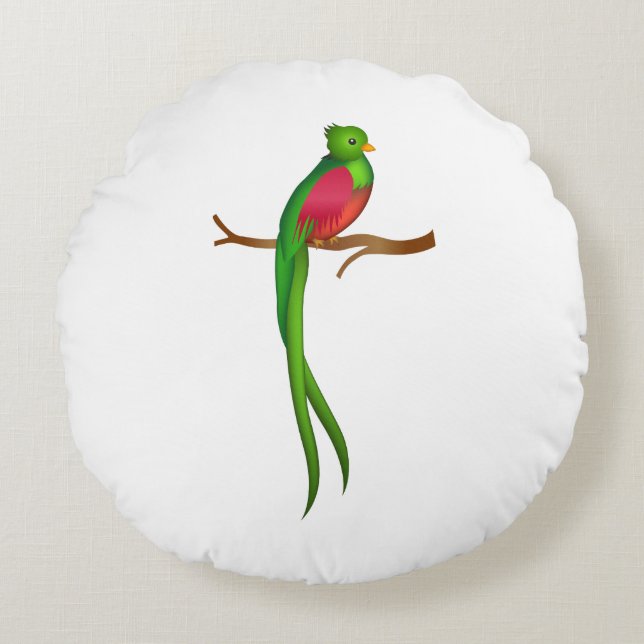 Schattigee vogelquetzal rond kussen (Voorkant)