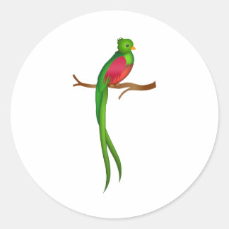 Schattigee vogelquetzal ronde sticker
