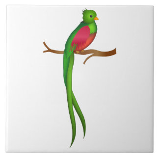 Schattigee vogelquetzal tegeltje
