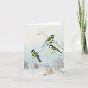 Schattigee vogeltjes van Matti Karppanen, Birds Ar Kaart