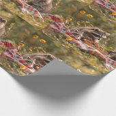 Schattigee wasbeer familie met een picknick cadeaupapier (Hoek)