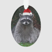 Schattigee wasbeer met rode kerstmuts vakantie ornament (achterkant)