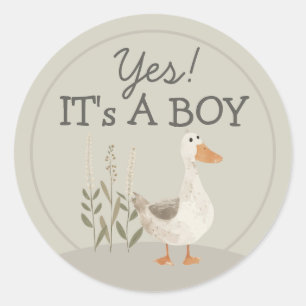 Schattigee Waterverf gans het is een jongen ronde  Ronde Sticker