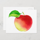 Schattigee Waterverf rode appelvrucht Briefkaart (Voorkant / Achterkant)