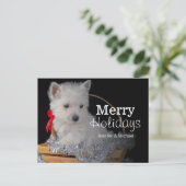 Schattigee West Highland Terriër in mandje Feestdagenkaart (Staand voorkant)