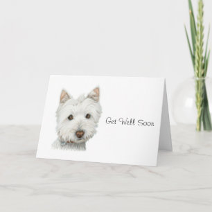 Schattigee Westie Dog wordt snel gezond Kaart