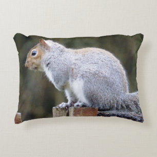 Schattigee wilde grijze eekhoorn accent kussen
