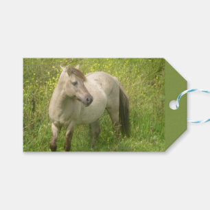 Schattigee wilde paardensnede. Tekst cadeau Label Cadeaulabel