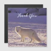 Schattigee winterfotografie van White Arctic Fox (Voorkant / Achterkant)