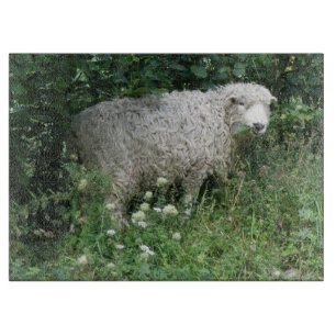 Schattigee witte pluizige schapen eten snijplank