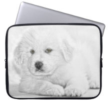 Schattigee witte puppy laptophoes