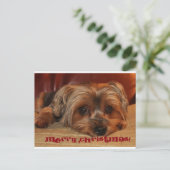 Schattigee Yorkshire Terrier Vrolijk kerstfeest Feestdagenkaart (Staand voorkant)