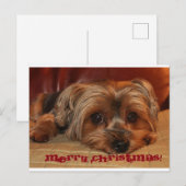 Schattigee Yorkshire Terrier Vrolijk kerstfeest Feestdagenkaart (Voorkant / Achterkant)