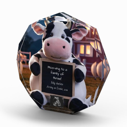Schattigee zwangerschapsaankondiging met Boerderij Fotoblokken (Rechts)