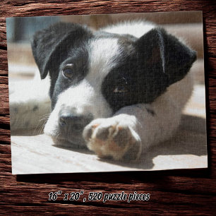 Schattigee zwart-witte puppy close-upfoto legpuzzel