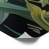 Schattigee zwarte kat en bloemen poster (Hoek)