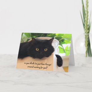 Schattigee zwarte kat, grappige "miss you" kaart