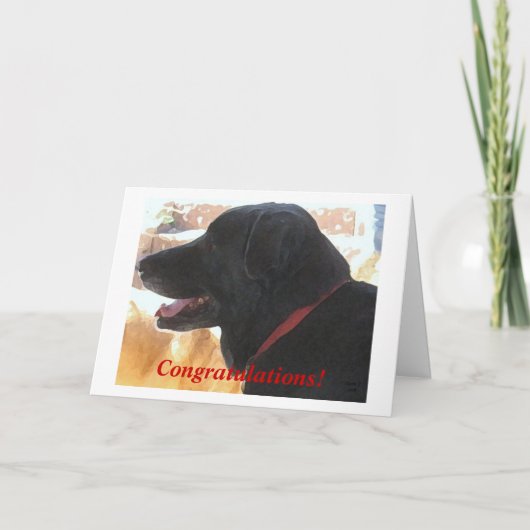 Schattigee Zwarte Lab Hond Gefeliciteerd DVM Afstu Kaart (Voorkant)