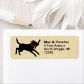 Schattigee zwarte labrador retriever die loopt | F Etiket (Insitu)